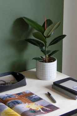 Miiko Korit Ja Rasiat<Rove säilytin