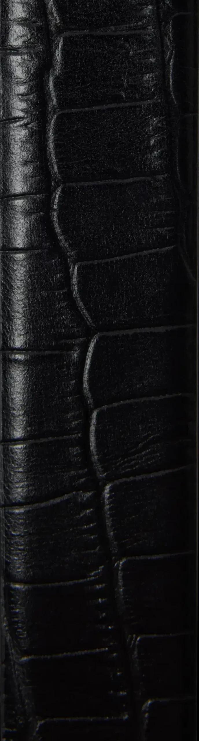 SELECTED Vyöt<Femme SLFiona nahkavyö