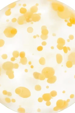 Shiseido J-Beauty|Kasvojenhoito<WASO Yuzu-C Beauty Sleeping Mask kasvonaamio 50 ml