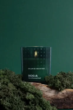 Skandinavisk Tuoksukynttilät<SKOG Tuoksukynttilä puukannella 65g, vihreä