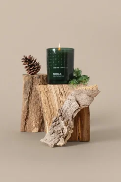 Skandinavisk Tuoksukynttilät<SKOG Tuoksukynttilä puukannella 65g, vihreä