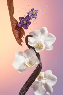 Sol De Janeiro Vartalonhoito<Delicia Drench Body Butter vartalovoide 75 ml