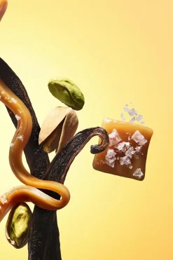 Sol De Janeiro Vartalonhoito<Travel Brazilian Bum Bum Cream kiinteyttävä vartalovoide 75 ml