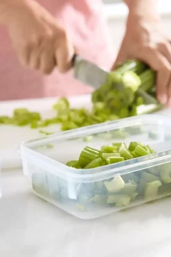 New Masterseal Fresh säilytysrasia 1,0 l Keittiötarvikkeet