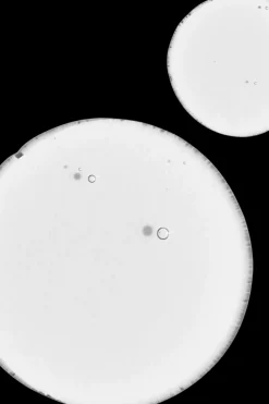 Best Natural Balancing & Clarifying Seerumi 30 ml Kasvojenhoito