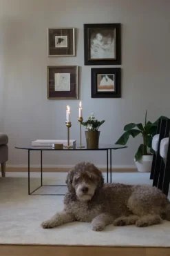 Clearance VM-Carpet Hattara nukkamatto 200x300cm valkoinen Olohuoneen Matot