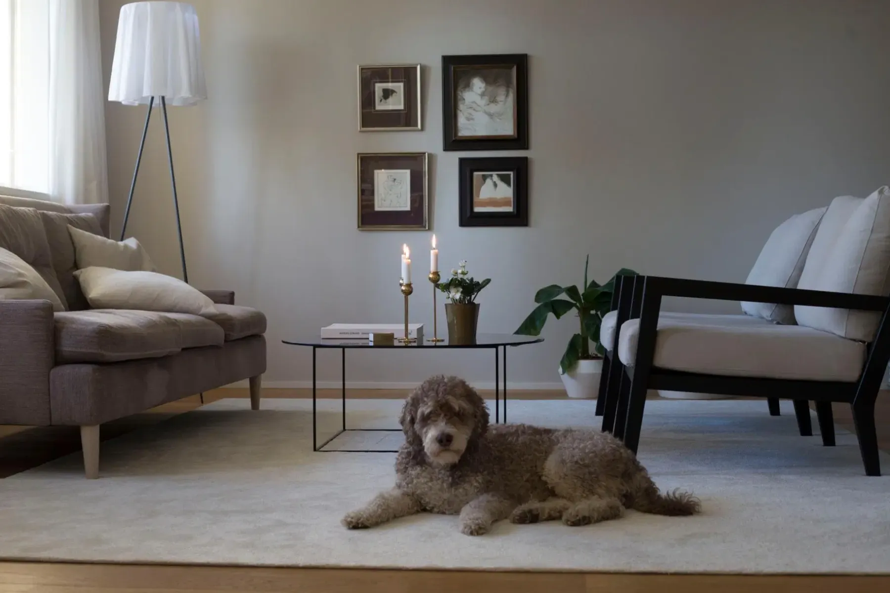 Clearance VM-Carpet Hattara nukkamatto 200x300cm valkoinen Olohuoneen Matot