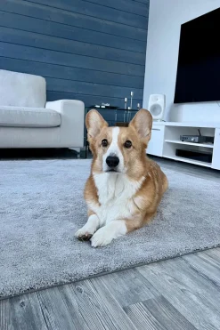 VM Carpet Olohuoneen Matot<VM-Carpet Silkkitie nukkamatto