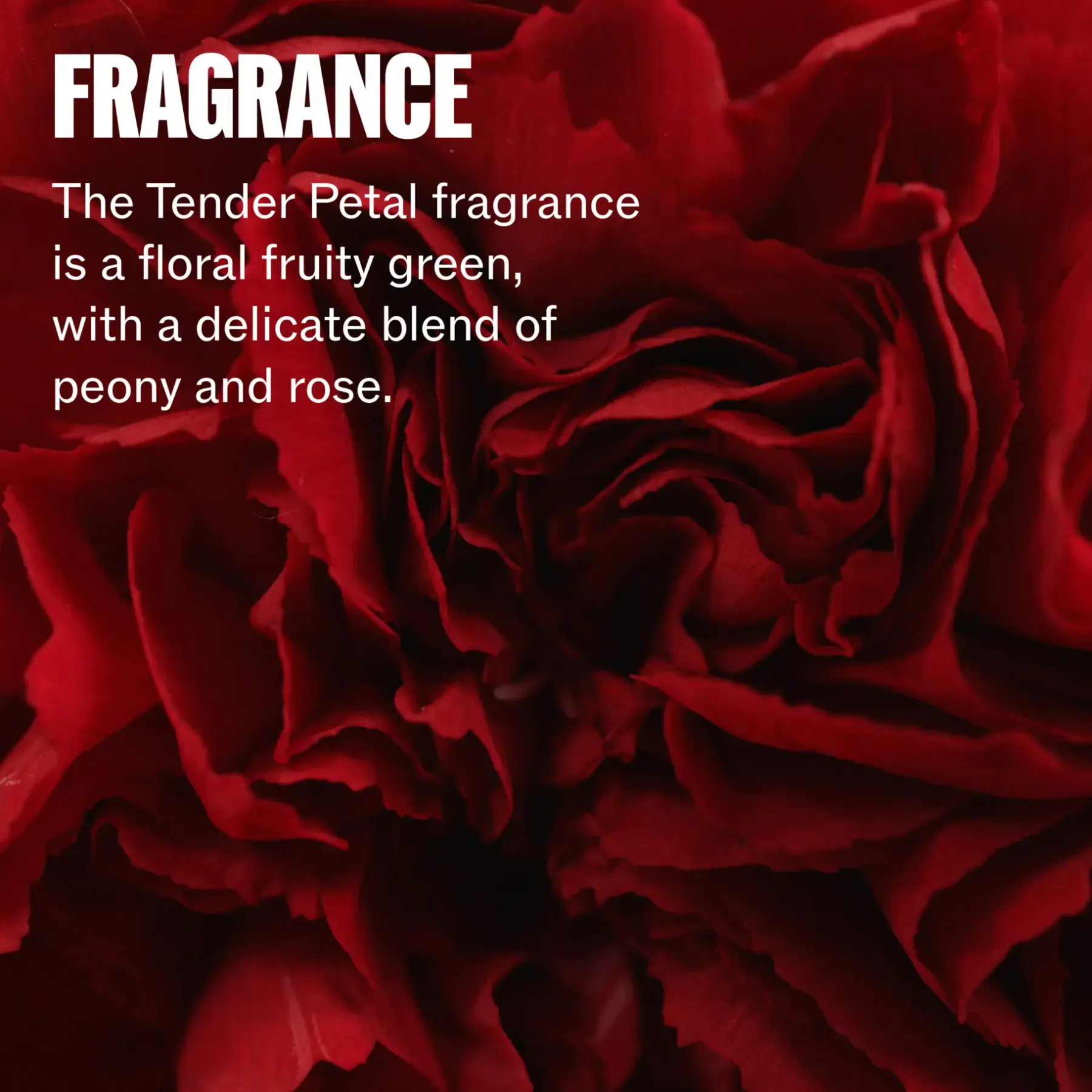 Discount Ultimate Repair Miracle Hair Rescue suihke 30 ml Hiustenhoito|Kampaamotuotteet